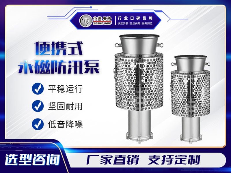 便攜式永磁防汛泵系列
