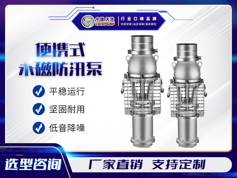 便攜式永磁防汛泵系列