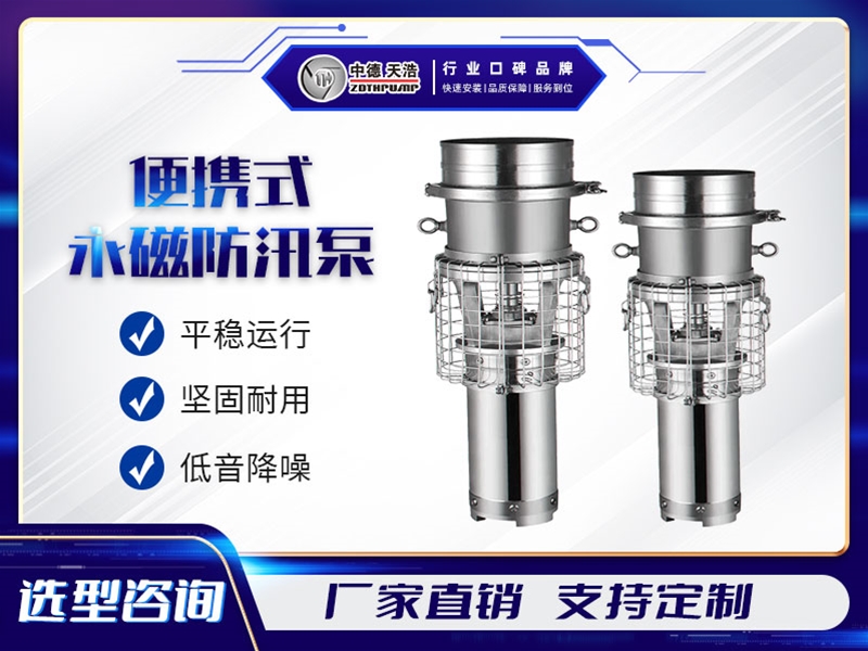 便攜式永磁防汛泵系列