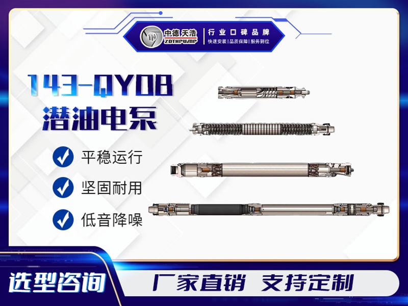 143QYDB潛油電泵系列